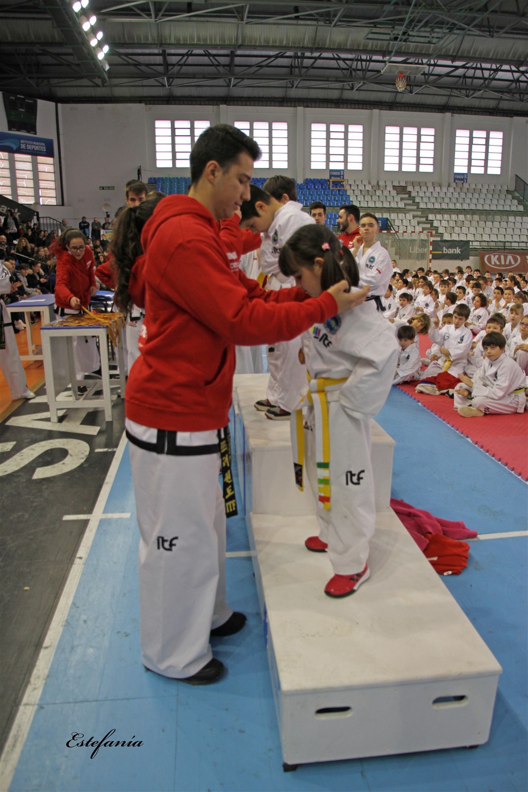 Taekwondo (242).jpg